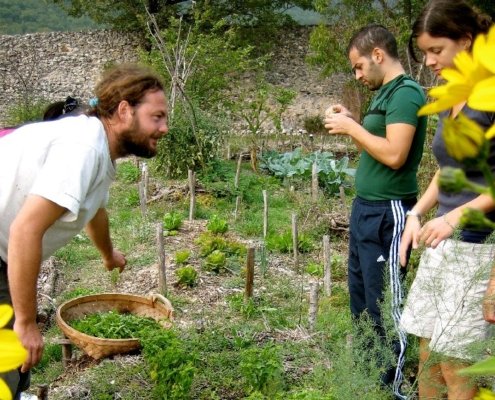 farm-volunteer-nepal